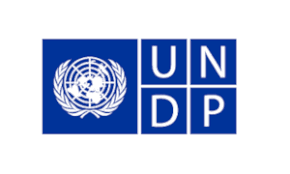 UNDP logo